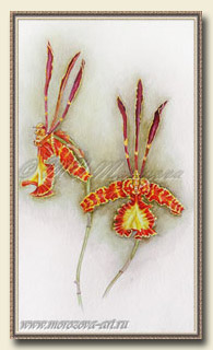 ������� Psychopsis Kalihi, ������� ���������.