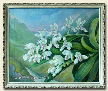 ���������� �������, ������� Sedirea japonica.